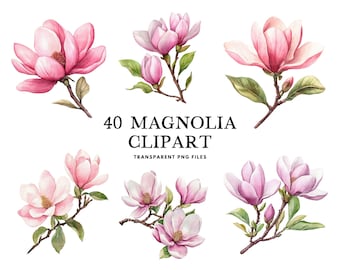 Pacchetto di clipart di magnolia ad acquerello, magnolia png, clipart di fiori, illustrazione floreale, disegno di fiori di magnolia, download digitale istantaneo