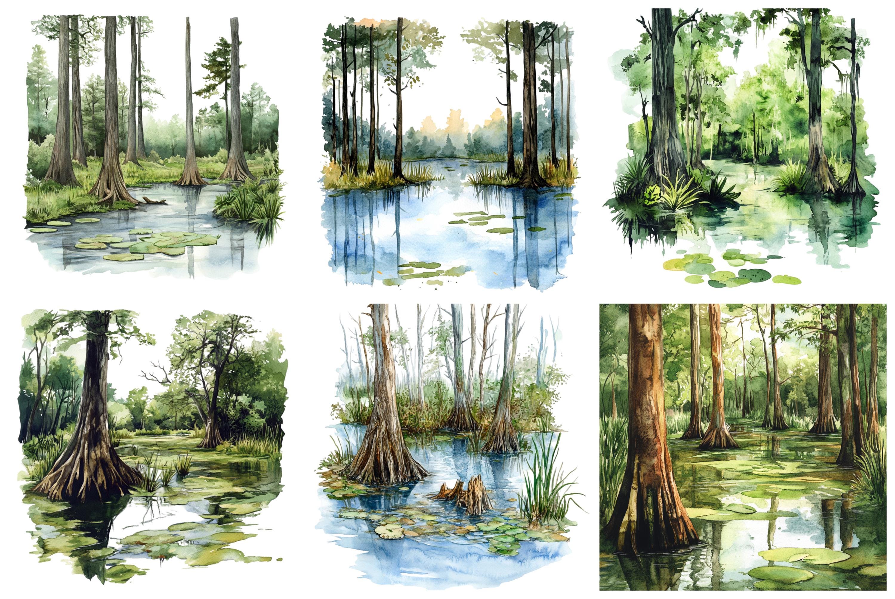 Watercolor Swamp Clipart, Png Bundle, Landscape Clip Art, Wetland ...