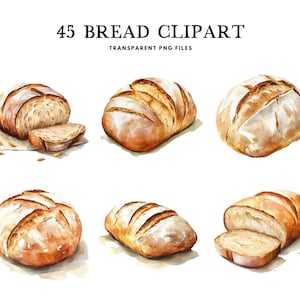 Op de afbeelding: Een verzameling van 45 aquarel illustraties van verschillende soorten brood, waaronder broden, broodjes en plakjes. Het brood is afgebeeld in een realistische stijl met een verscheidenheid aan texturen en kleuren.