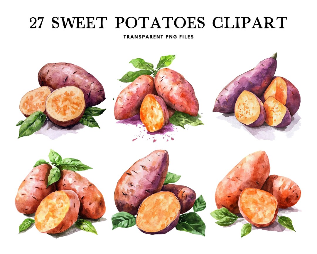 Watercolor Sweet Potatoes Clipart, Png Bundle, Vegetable Clip Art ...