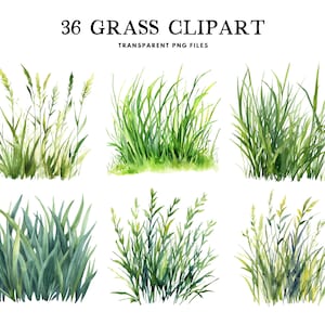 Watercolor Grass Clipart, Png Bundle, Meadow Clip Art, Nature Illustration, Design, Free Commercial Use, Instant Digital Download