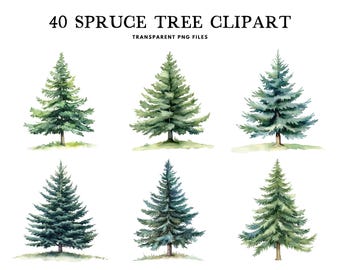 Watercolor Spruce Tree Clipart, Png Bundle, Clip Art Illustration, Forest Design, Woodland, Nature, Commercial Use, Instant Digital Download