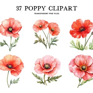 Watercolor Poppy Clipart Bundle, Poppy Png, Flower Clip Art, Floral Illustration Poppy Flower Design Commercial Use Instant Digital Download
