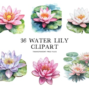 Pacote de clipart de nenúfar em aquarela, nenúfar em png, clipart de flores aquáticas, ilustração floral, design botânico, natureza, download digital