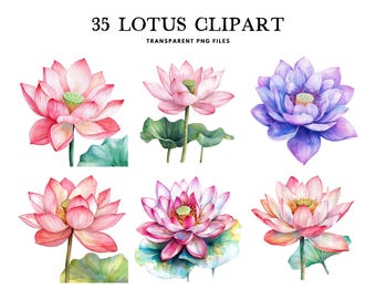 Watercolor Lotus Clipart, Png Bundle, Flower Clip Art, Illustration, Floral Design, Free Commercial Use, Instant Digital Download