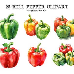 Watercolor Bell Pepper Clipart, Bell Pepper Png Bundle, Vegetable Clip Art, Illustration Design Free Commercial Use Instant Digital Download