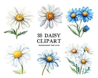 Paquete de imágenes prediseñadas de margaritas en acuarela, margaritas PNG, imágenes prediseñadas de flores, ilustración floral, diseño de flores de margarita, uso comercial, descarga digital instantánea