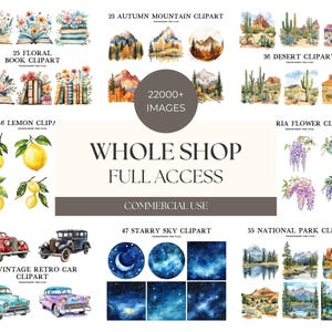 Whole Shop Bundle, Watercolor Clipart Png, Mega Clip Art, Full Access, All Past and Future Designs, Digital Download, Commercial Use