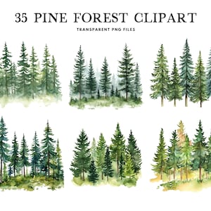 Bosque de pinos en acuarela, imágenes prediseñadas, ilustración de árbol, diseño forestal, naturaleza, paisaje, bosque, descarga digital instantánea