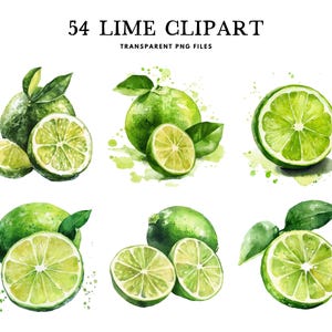 May include: Watercolor illustration of 54 lime clipart in various arrangements. The image features whole limes, sliced limes, and lime wedges with green leaves. The text "54 LIME CLIPART" and "TRANSPARENT PNG FILES" is at the top.