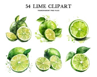 Aquarel limoen clipart, png-bundel, fruit illustraties, illustratie, ontwerp, gratis commercieel gebruik, instant digitale download