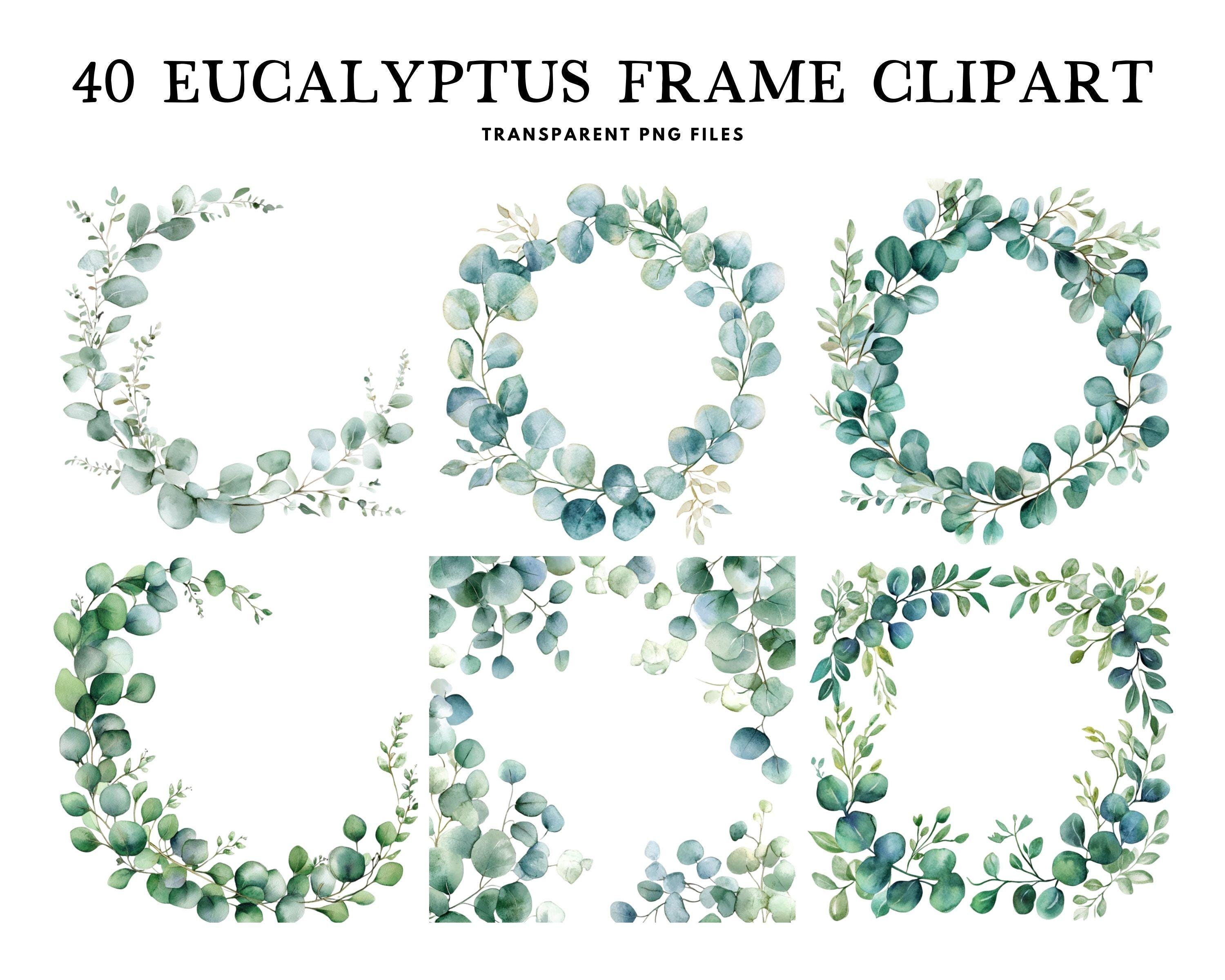 Watercolor Eucalyptus Frame Clipart Bundle, Png, Frame Clip Art ...