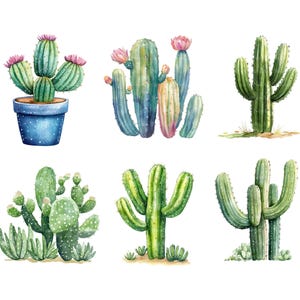 May include: Watercolor illustrations of various cacti. The image features six different cacti, including some with pink flowers and one in a blue pot. The cacti are in shades of green and blue, with detailed textures and shadows.