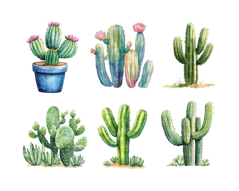 May include: Watercolor illustrations of various cacti. The image features six different cacti, including some with pink flowers and one in a blue pot. The cacti are in shades of green and blue, with detailed textures and shadows.