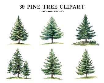 Watercolor Pine Tree Clipart, Png Bundle, Clip Art, Illustration, Forest Design, Woodland, Nature, Commercial Use, Instant Digital Download