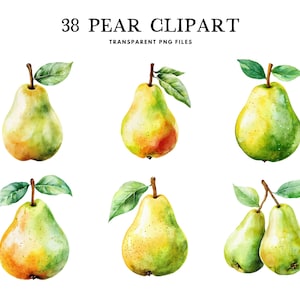 Clipart di pere ad acquerello, pacchetto PNG, clipart di frutta, illustrazione, design, uso commerciale gratuito, download digitale istantaneo