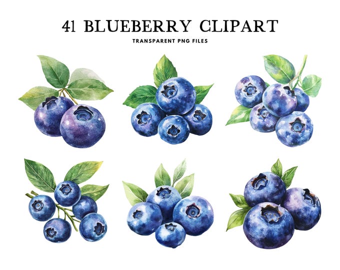 Watercolor Blueberry Clip Art - 18 PNG Watercolor Fruits Blueberry Art ...