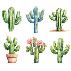 May include: Watercolor illustration of six different cacti. The cacti are in shades of green and blue-green, with some featuring pink flowers and one in a terracotta pot. The artwork is set against a white background, highlighting the detailed botanical renderings.