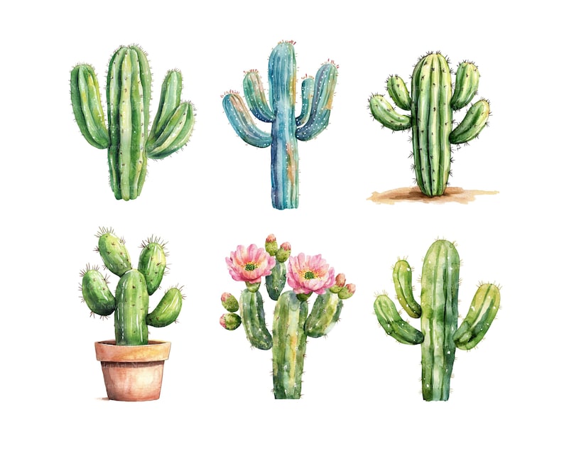 May include: Watercolor illustration of six different cacti. The cacti are in shades of green and blue-green, with some featuring pink flowers and one in a terracotta pot. The artwork is set against a white background, highlighting the detailed botanical renderings.