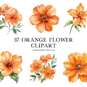 Watercolor Orange Flower Clipart Bundle, Orange Flower Png, Floral Clip Art, Flower Illustration, Orange Floral Design, Digital Download