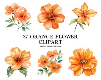 Watercolor Orange Flower Clipart Bundle, Orange Flower Png, Floral Clip Art, Flower Illustration, Orange Floral Design, Digital Download