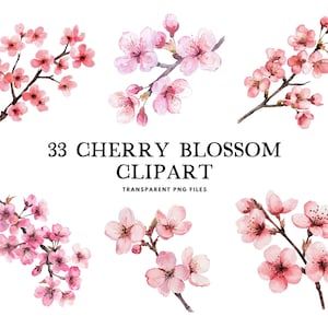 Pacote de clipart de flor de cerejeira em aquarela, flor de cerejeira png, clipart de flor, ilustração floral, design de flor de cerejeira