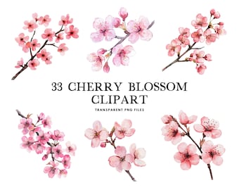 Watercolor Cherry Blossom Clipart Bundle, Cherry Blossom Png, Flower Clip Art, Floral Illustration, Cherry Blossom Flower Design