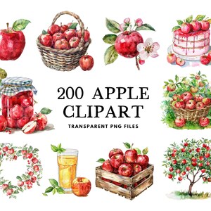 Puede incluir: Una ilustración de acuarela de 200 imágenes de clipart de manzanas. Las imágenes incluyen manzanas en una cesta, manzanas en un frasco, manzanas en un pastel, manzanas en un árbol y manzanas en una corona. El texto "200 APPLE CLIPART TRANSPARENT PNG FILES" está escrito en letras negras sobre un fondo blanco.