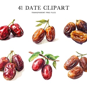 May include: Watercolour illustrations of dates, a popular dried fruit, in various stages of ripeness. The dates are depicted in shades of brown, red, and orange, with some dates still attached to their stems. The illustrations are perfect for use in digital or printed projects.