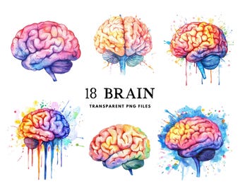 Watercolor Brain Clipart Bundle, Brain Png, Mind Clip Art, Brain Illustration, Brain Design, Free Commercial Use, Instant Digital Download