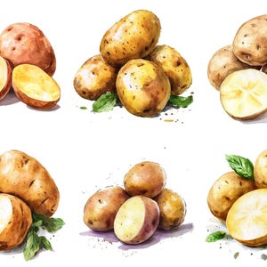 Watercolor Potatoes Clipart, Png Bundle, Vegetable Clip Art ...