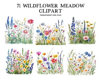 Watercolor Wildflower Meadow Clipart, Png Bundle, Clip Art Illustration, Flower Design, Floral Landscape, Blooming Field, Digital Download