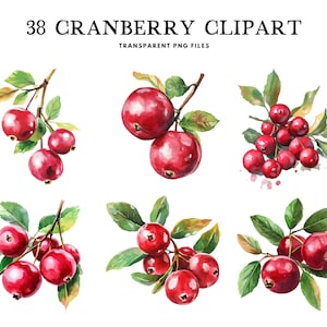 Akvarell tranbär clipart paket, tranbär png, frukt clipart, illustration, design, gratis kommersiellt bruk, omedelbar digital nedladdning