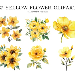 Watercolor Yellow Flower Clipart Bundle, Yellow Flower Png, Floral Clip Art, Flower Illustration, Yellow Floral Design, Digital Download