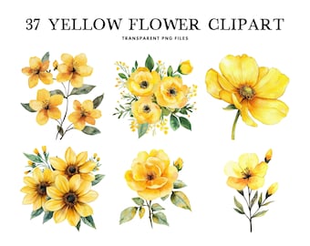 ヴィンテージイエローウォールフラワー植物イラスト（デジタル