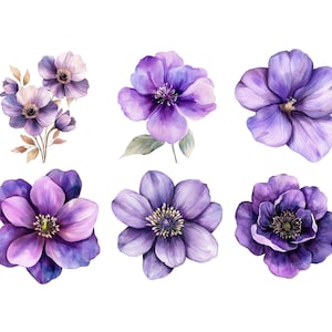 以下が含まれることがあります： 紫とピンクの色合いの異なる、紫色の花の水彩イラスト6点。花は白い背景に孤立している。