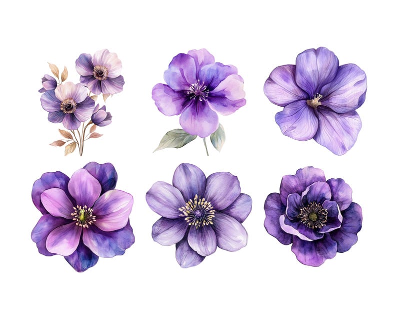 以下が含まれることがあります： 紫とピンクの色合いの異なる、紫色の花の水彩イラスト6点。花は白い背景に孤立している。