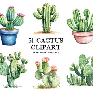 Paquete de imágenes prediseñadas de cactus de acuarela, cactus PNG, imágenes prediseñadas de cactus del desierto, ilustración de cactus suculento, lindo diseño de cactus, planta de cactus tropical