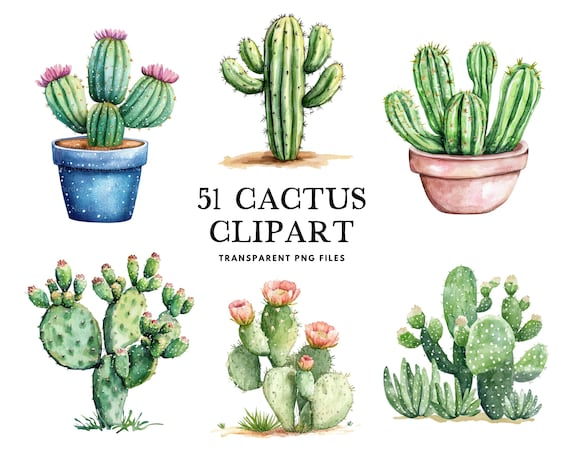 Watercolor Cactus Clipart Bundle, Cactus Png, Desert Cactus Clip Art, Succulent Cactus Illustration Cute Cactus Design Tropical Cactus Plant