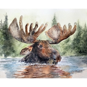 May include: A watercolor painting of a brown moose with large antlers wading in water. The background features a soft green forest. The artist's signature, Joe Schaub, is visible in the bottom right corner of the textured paper surface.