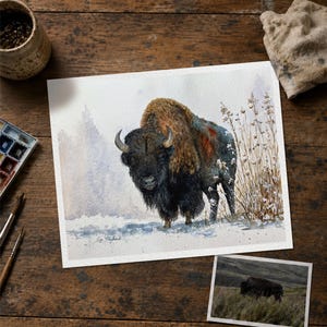 May include: A watercolor painting of a bison standing in a snowy landscape with tall dried grasses. The bison has dark brown fur on its head and shoulders with lighter tan fur on its back. A smaller reference photograph of a bison is placed nearby.
