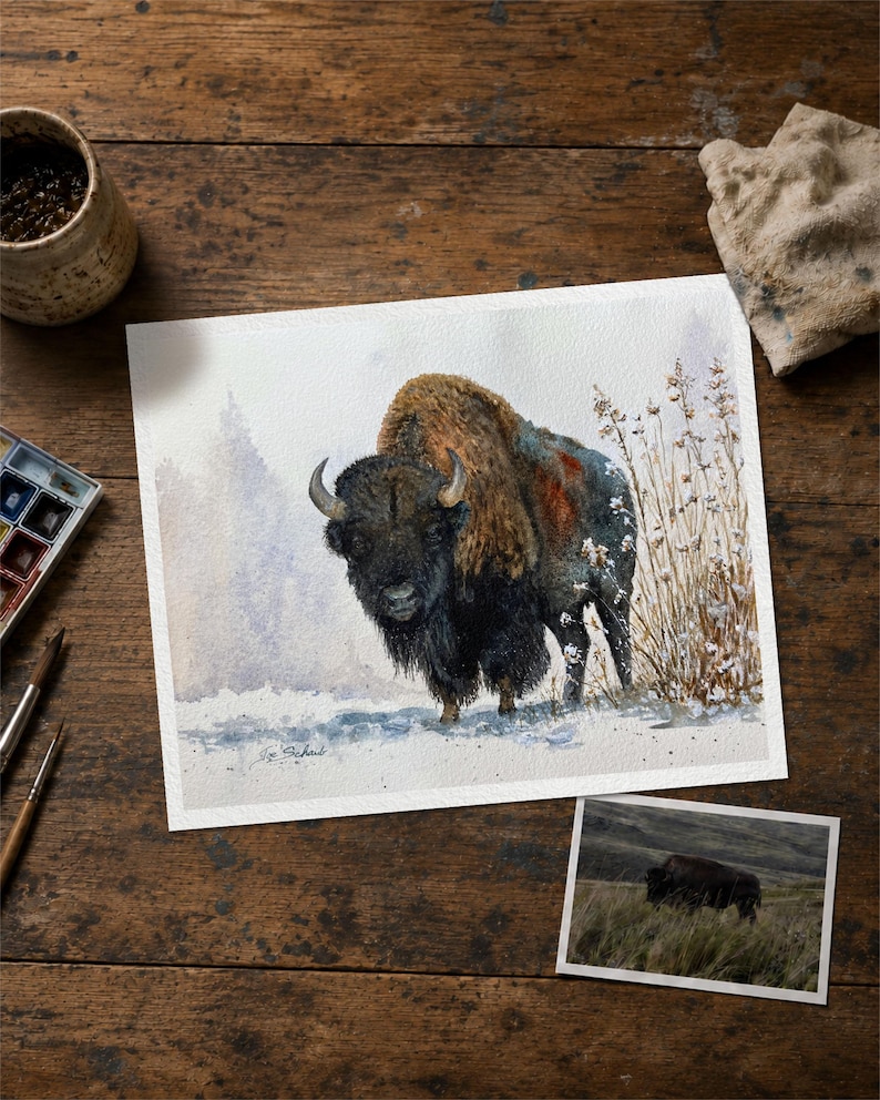 May include: A watercolor painting of a bison standing in a snowy landscape with tall dried grasses. The bison has dark brown fur on its head and shoulders with lighter tan fur on its back. A smaller reference photograph of a bison is placed nearby.