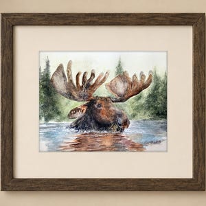 May include: A framed watercolor painting depicting a brown moose wading in water with a forest background. The moose has large antlers and is facing right. The artwork is enclosed in a dark brown wooden frame with a cream-colored mat border.