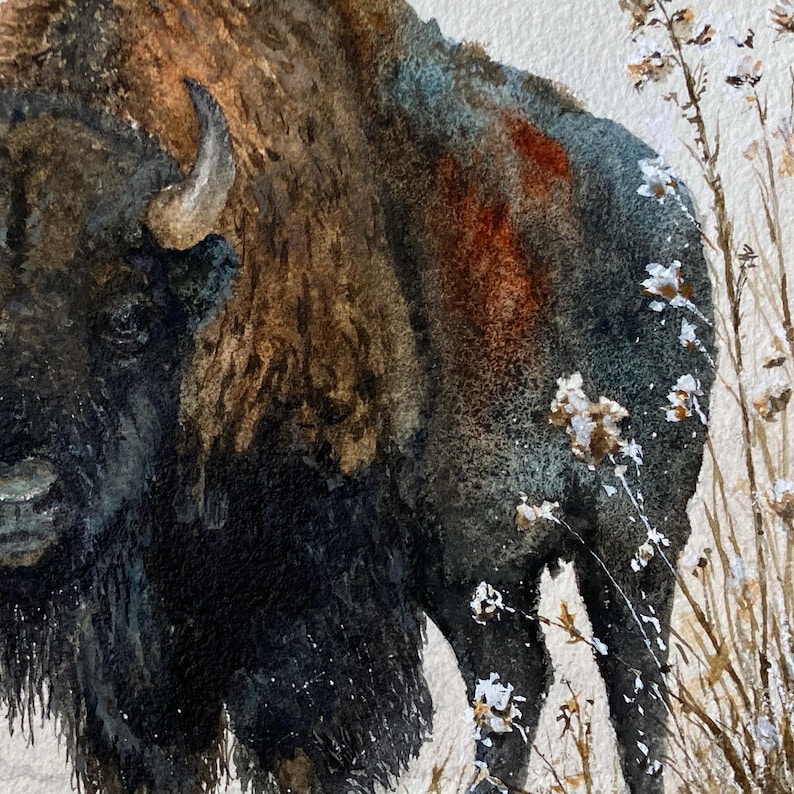 May include: A watercolor painting of a bison with thick, dark brown and black fur, featuring a prominent curved horn. The animal stands amidst tall, dried grasses with white, snowy accents, rendered in textured brushstrokes on paper.