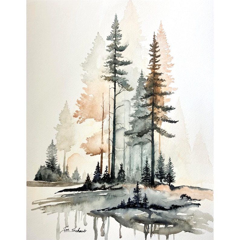 May include: A watercolor painting depicting a forest scene with tall pine trees in shades of dark gray and muted brown. The trees are reflected in a calm body of water at the bottom. The artist signature Joe Schaub is visible in the lower left corner.