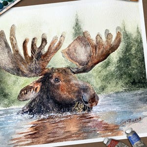 May include: A watercolor painting of a brown moose with large antlers wading in blue water against a green forest background. The artwork features the signature Joe Schaub in the bottom right corner, accompanied by a paintbrush and paint tubes.