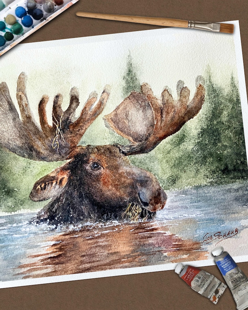 May include: A watercolor painting of a brown moose with large antlers wading in blue water against a green forest background. The artwork features the signature Joe Schaub in the bottom right corner, accompanied by a paintbrush and paint tubes.
