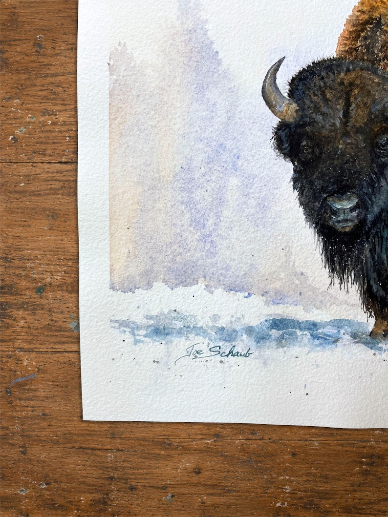 May include: A watercolor painting on textured white paper depicting the head and shoulders of a dark brown bison. The animal has a curved horn and shaggy fur. The artist's signature, Joe Schaub, is written in black ink at the bottom left corner.