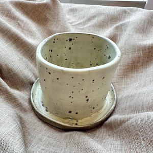 May include: A speckled ceramic planter with a matching saucer. The planter is cylindrical with a slightly flared rim and a light green glaze. Dark brown speckles dot the surface. The saucer is round and has a similar glaze.