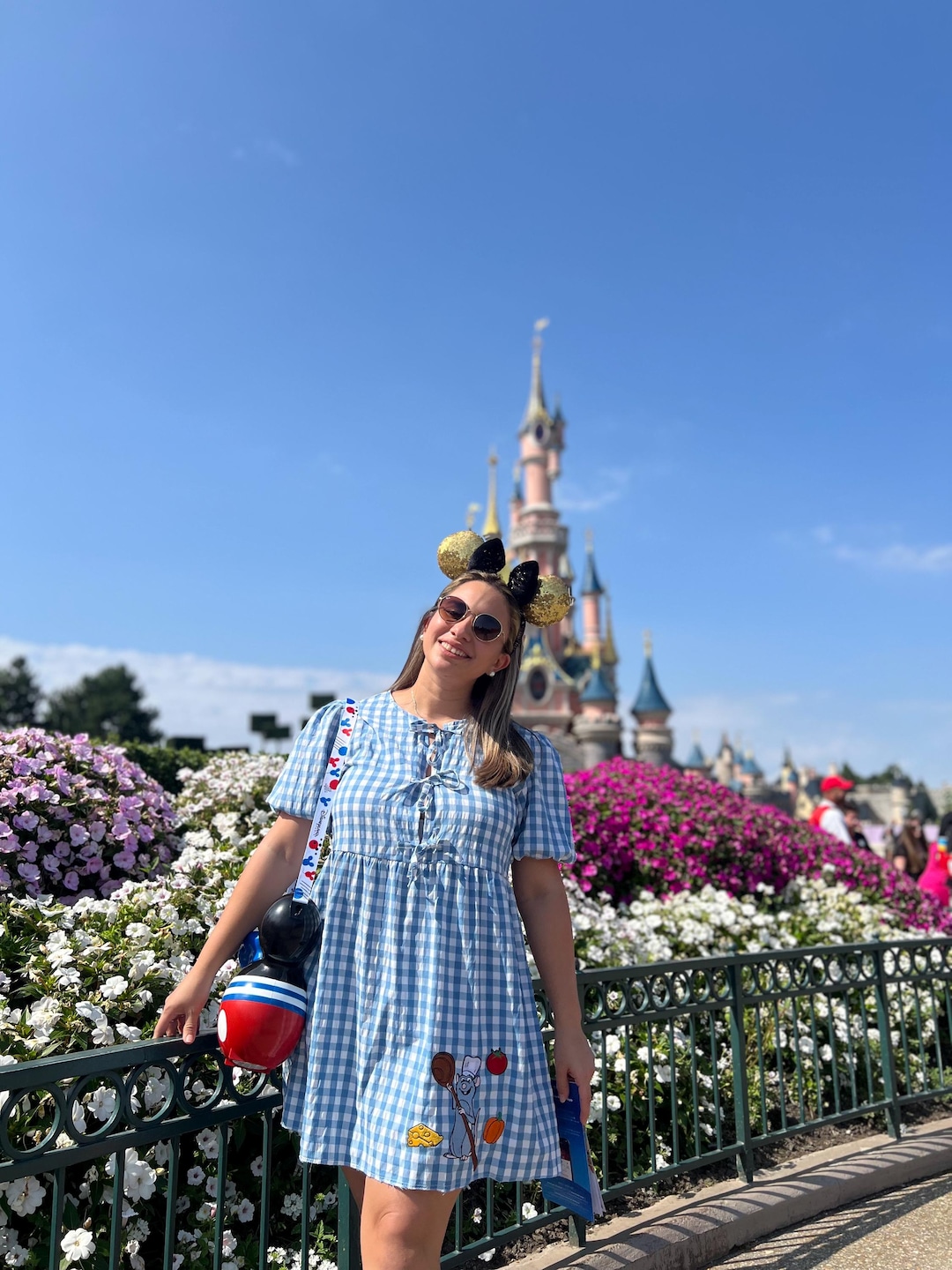 Ratatouille Dress, Disney Women Dress, Park Women Dress, Disney  Embroidered, Disney Adult, Disney Adult Dress